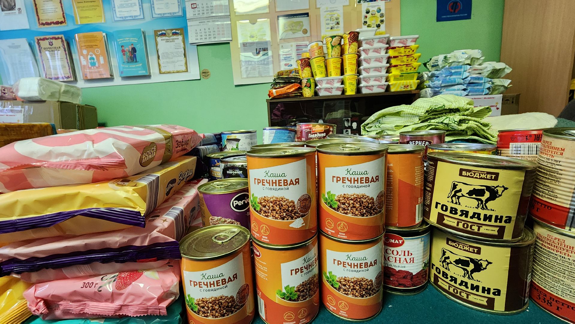 гуманитарная помощь, спецоперация, союз пенсионеров, Старая Купавна, Богородский городской округ,