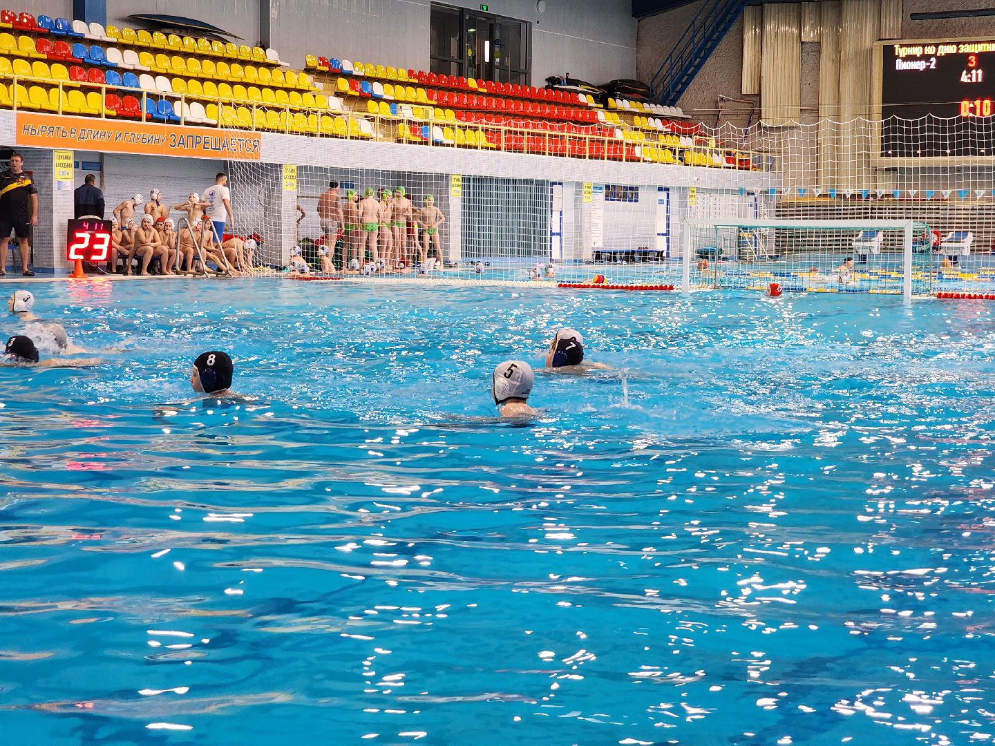раменское, спорт, соревнования по водному поло,