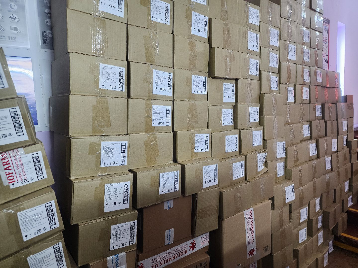 Подольск, акция, волонтеры,