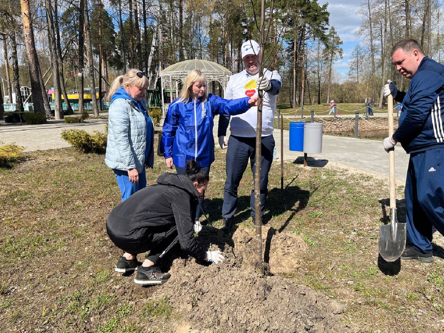 высадили дерево, Шатура, парк, липа