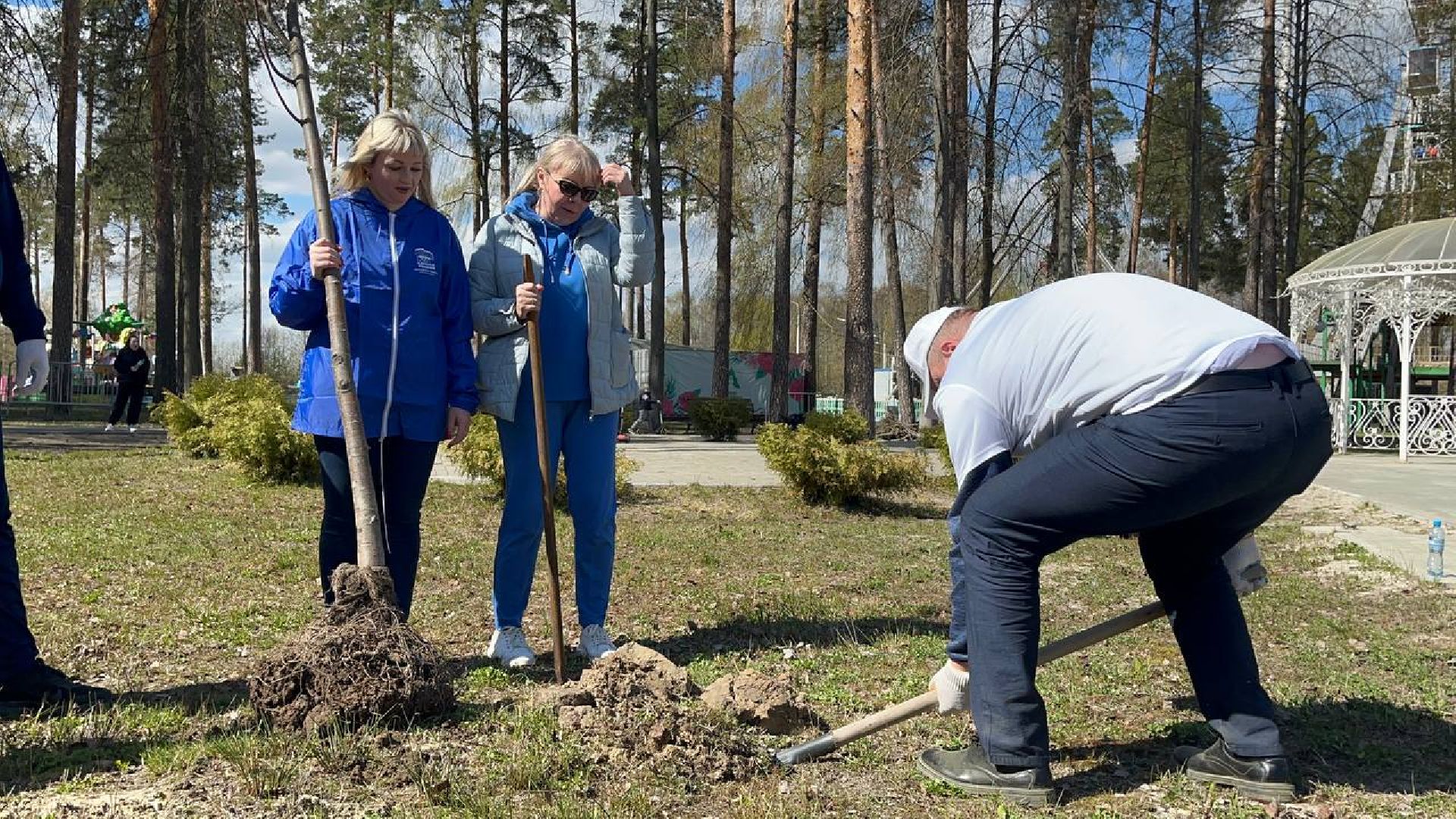 высадили дерево, Шатура, парк, липа