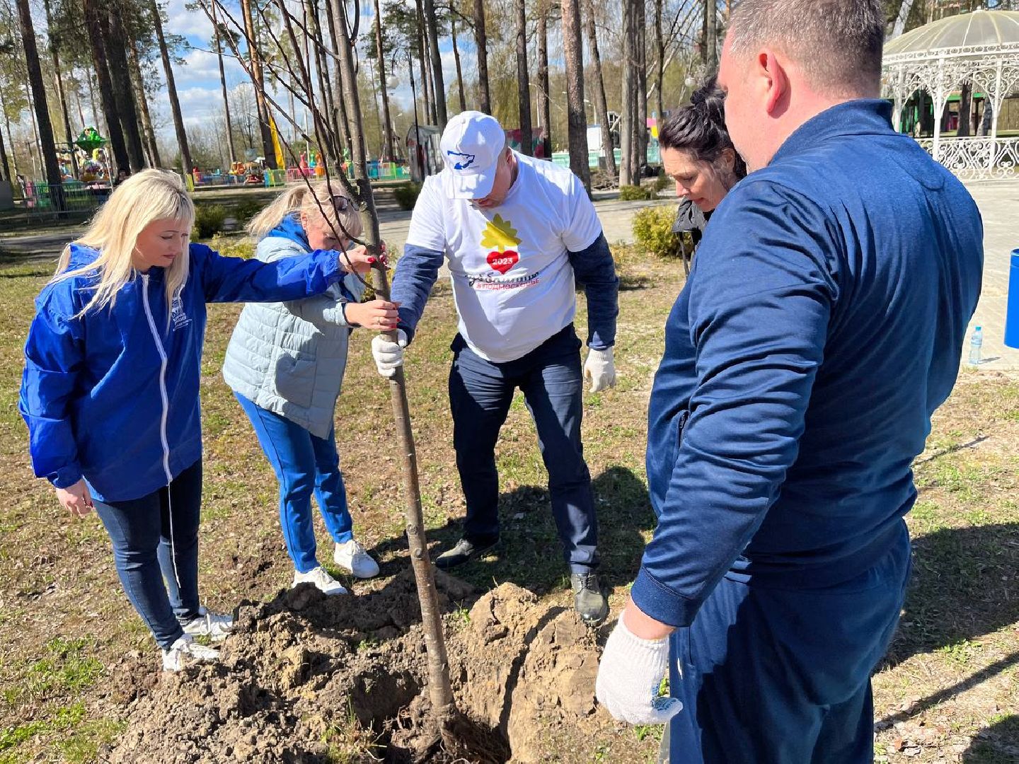 высадили дерево, Шатура, парк, липа