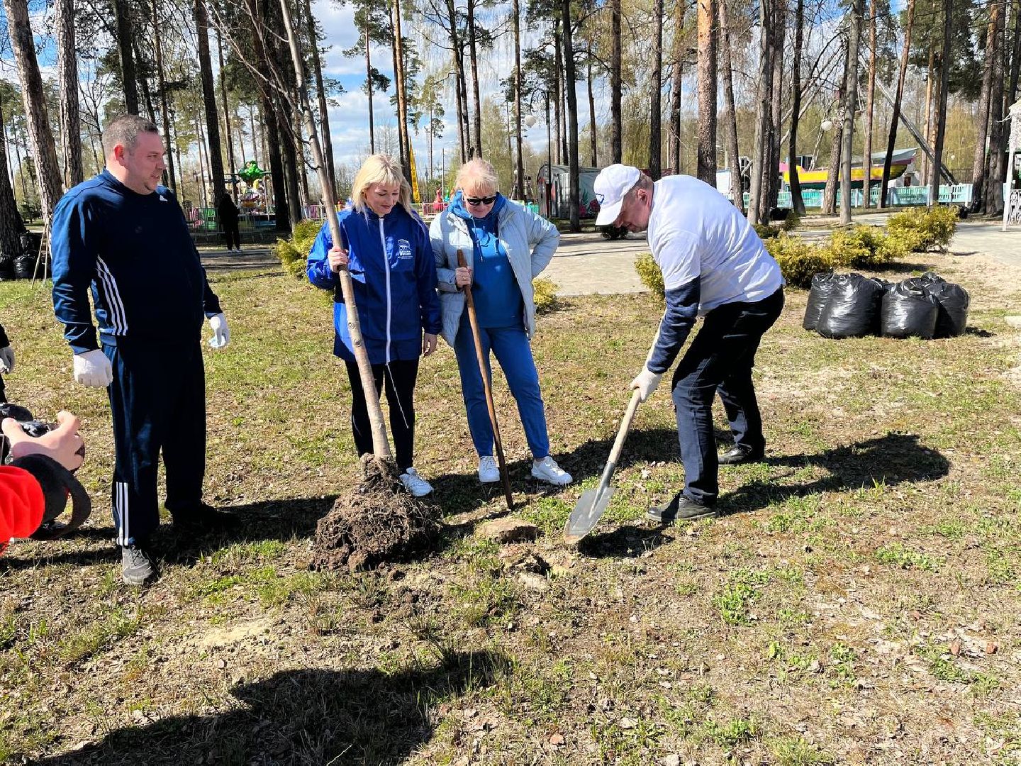 высадили дерево, Шатура, парк, липа