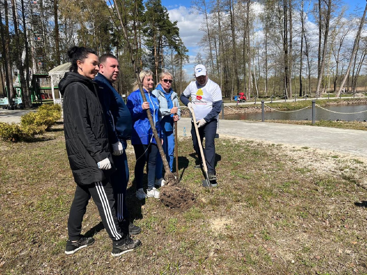 высадили дерево, Шатура, парк, липа