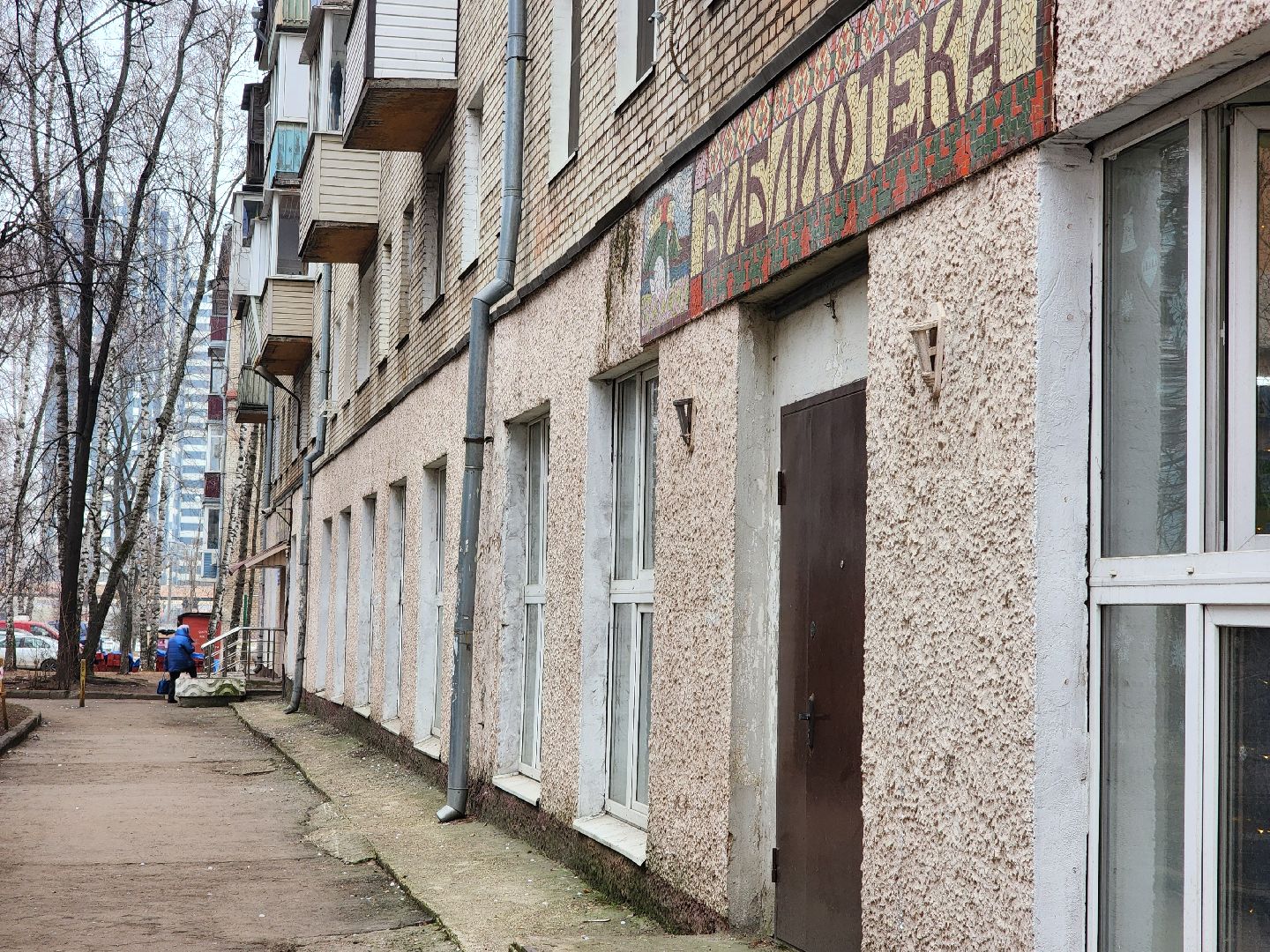 Пушкин, Лекция, библиотека,Роман, Дантес,