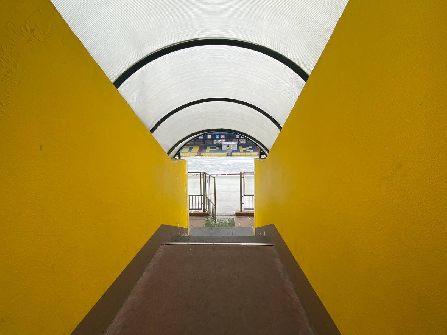 хоккейсмячом, горизонталки, зоркий,