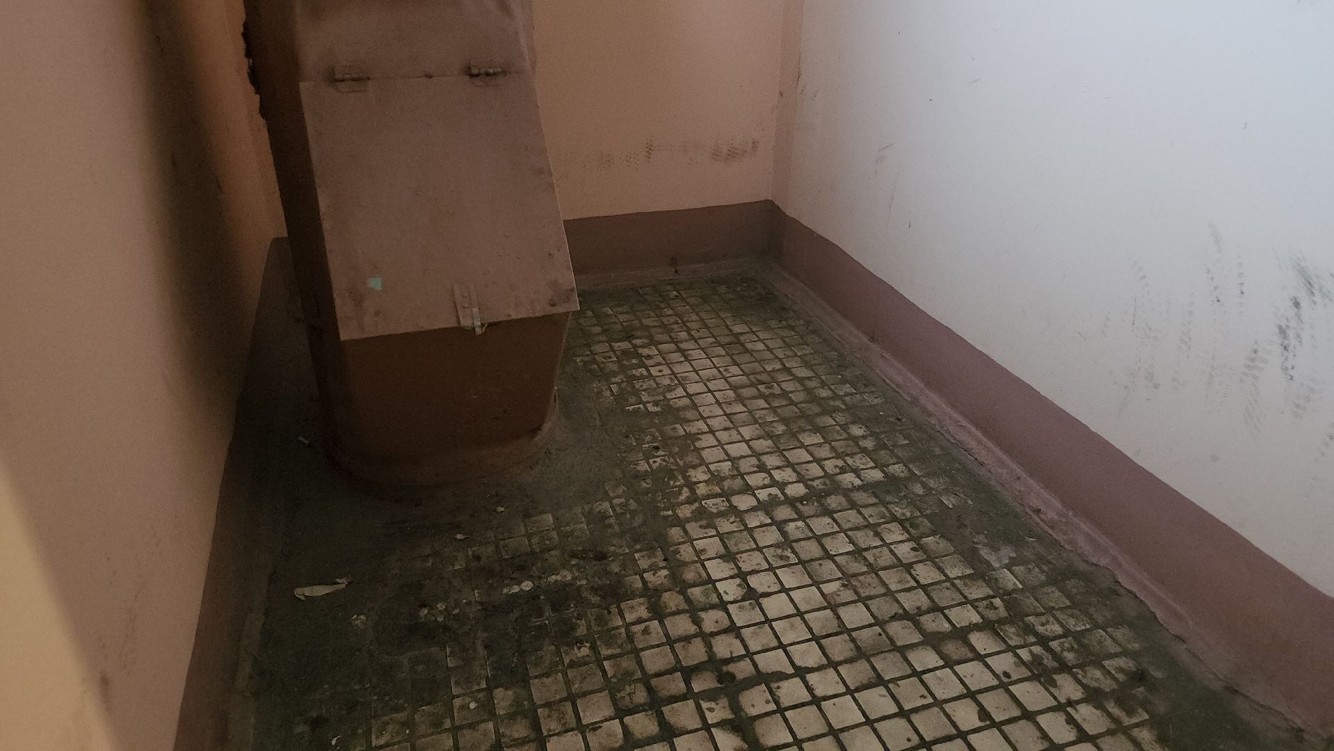 люберцы, выездная администрация, жители, уборка, вертикалки,