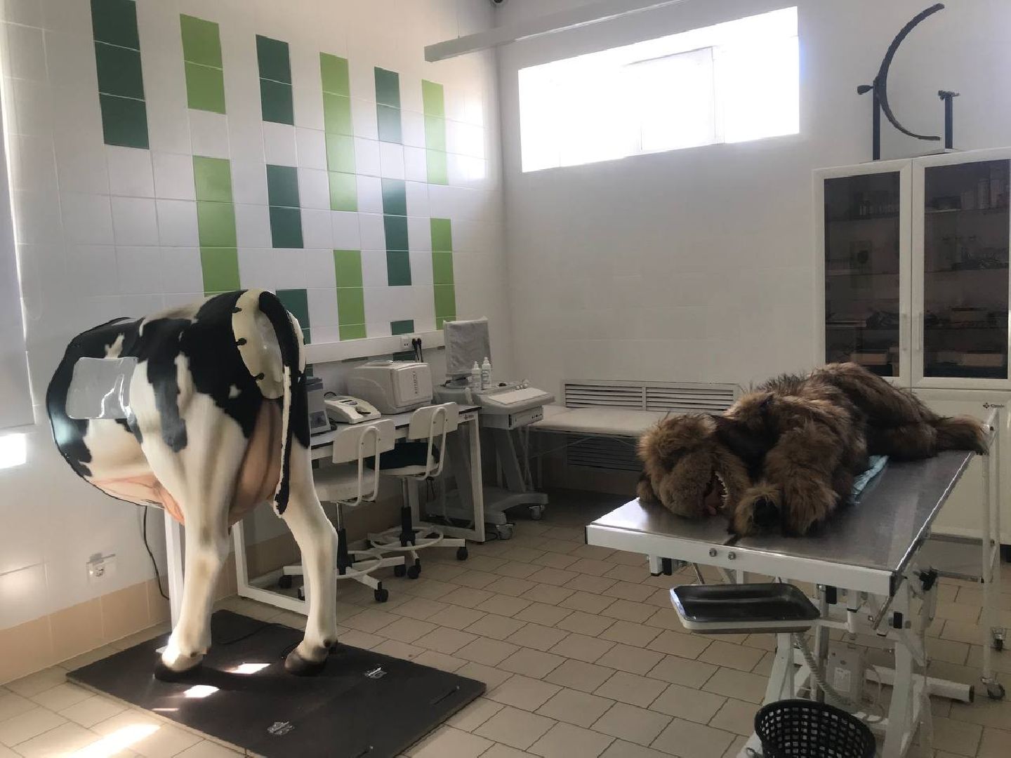 Коломна, форум, профориентация