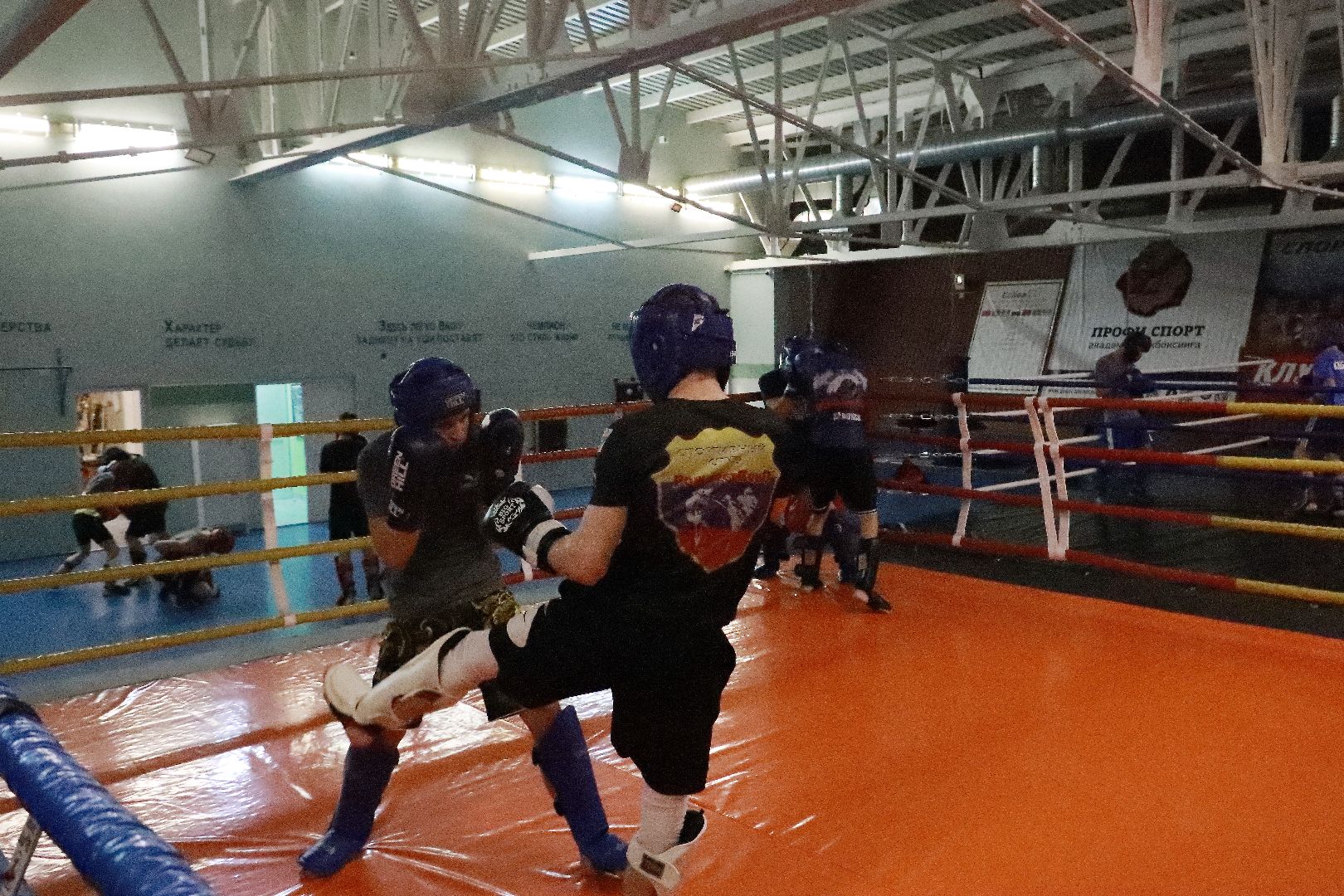 истра, чемпионат, кикбоксинг, спорт,