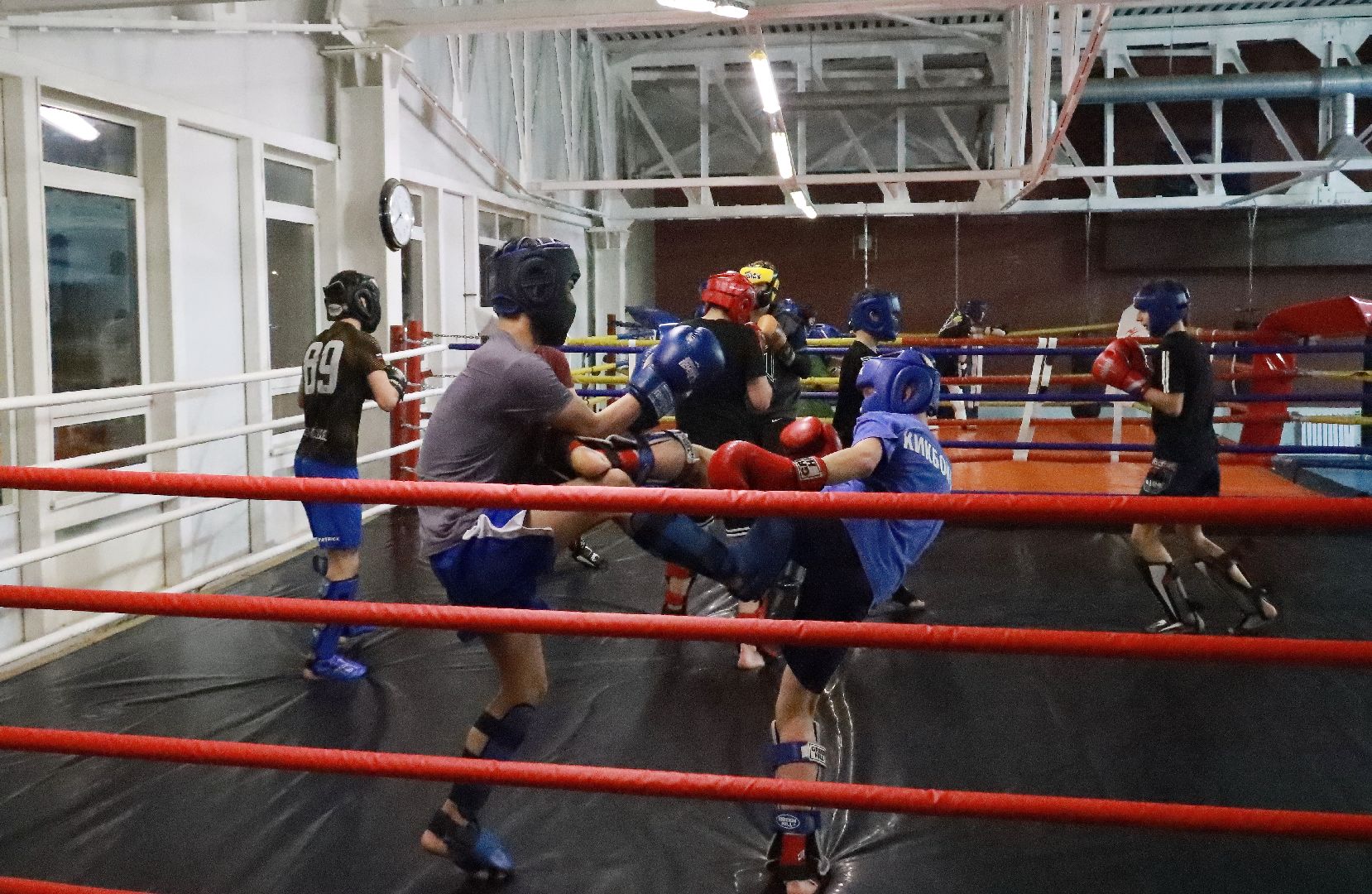 истра, чемпионат, кикбоксинг, спорт,