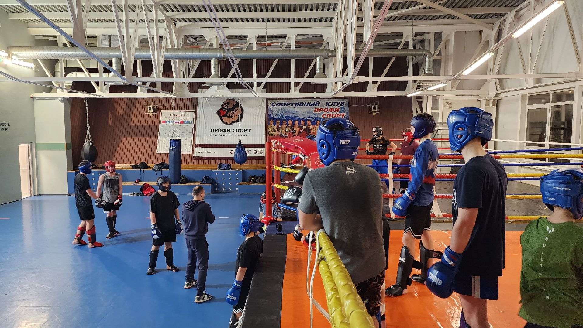 истра, чемпионат, кикбоксинг, спорт,