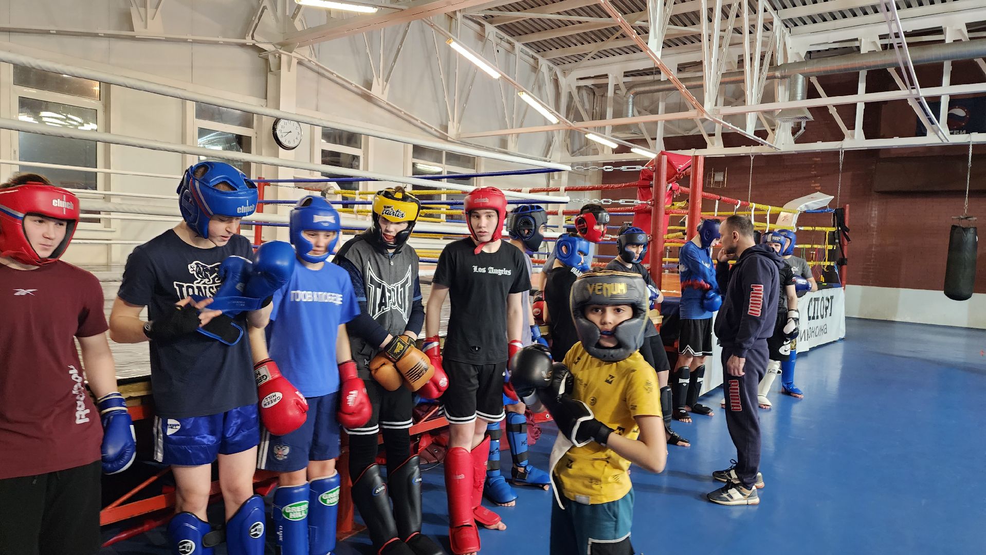 истра, чемпионат, кикбоксинг, спорт,