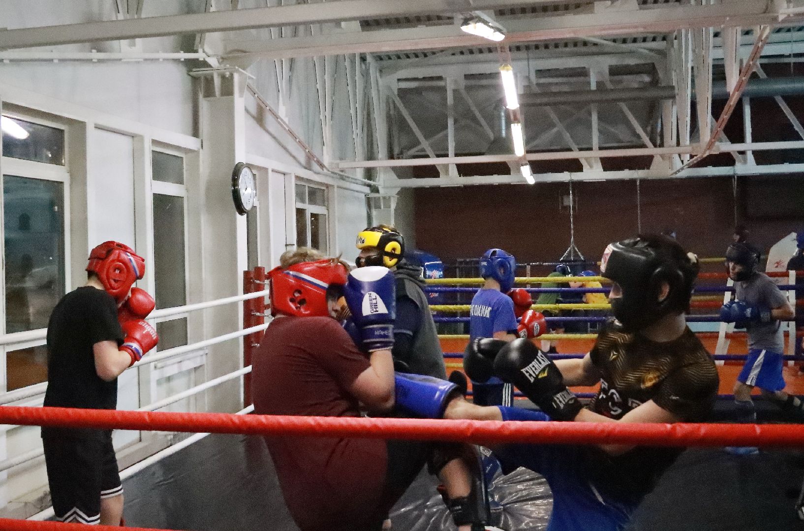 истра, чемпионат, кикбоксинг, спорт,