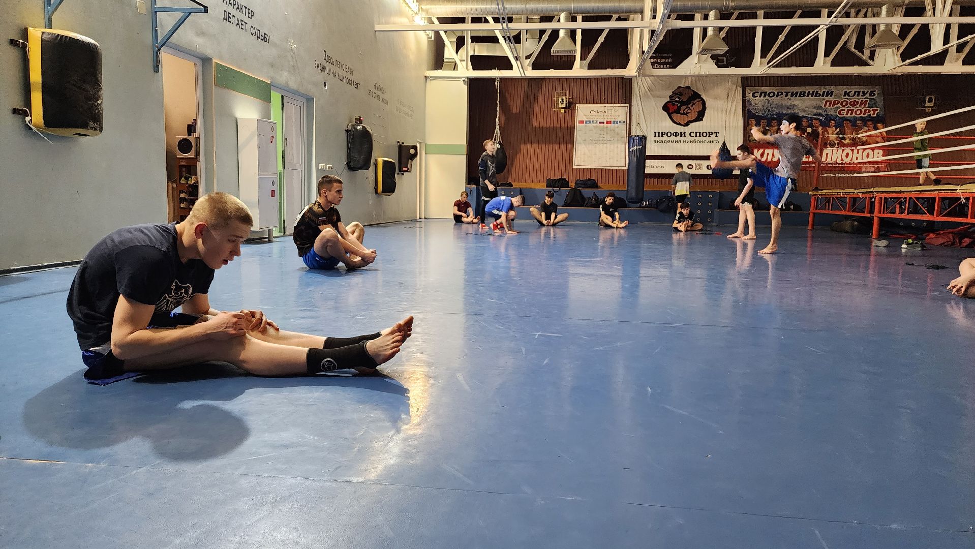 истра, чемпионат, кикбоксинг, спорт,