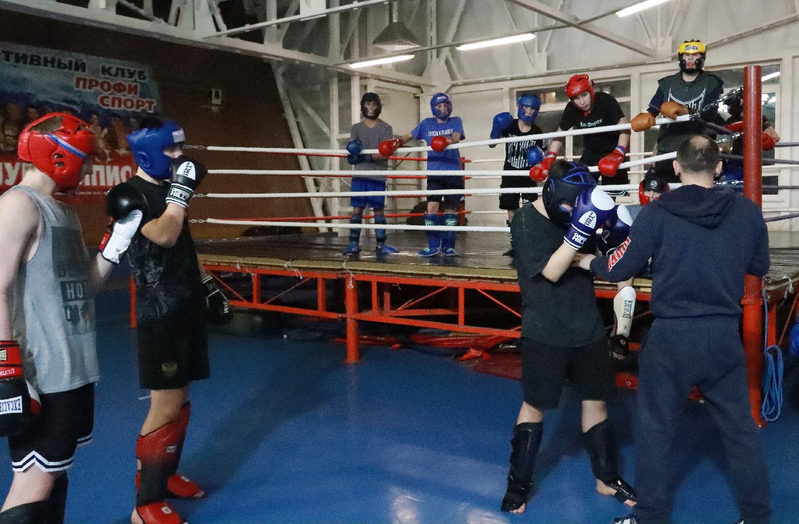 истра, чемпионат, кикбоксинг, спорт,