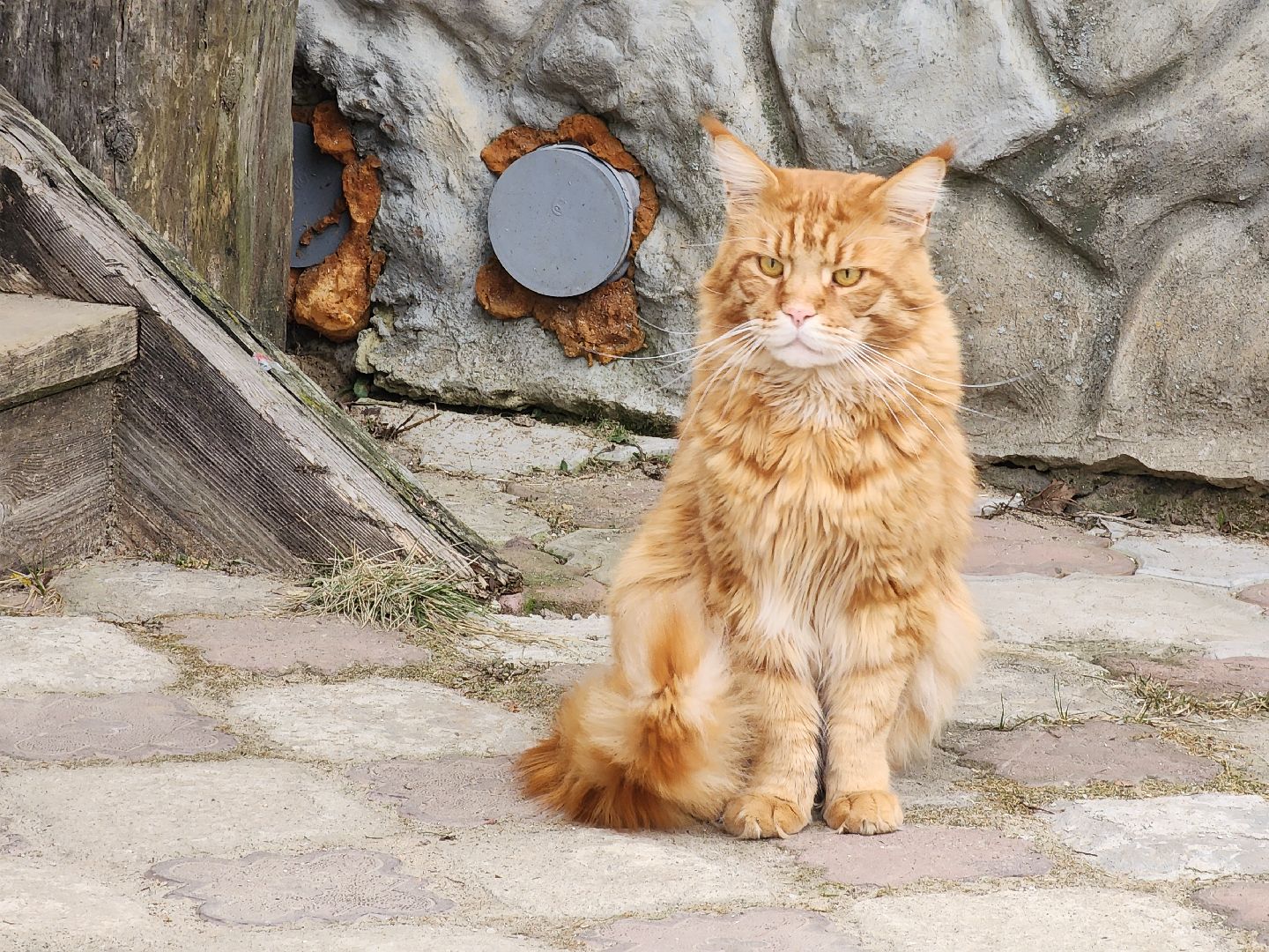 вертикалки, Егорьевск, Подмосковье, Московская область, Газ, мособлгаз,