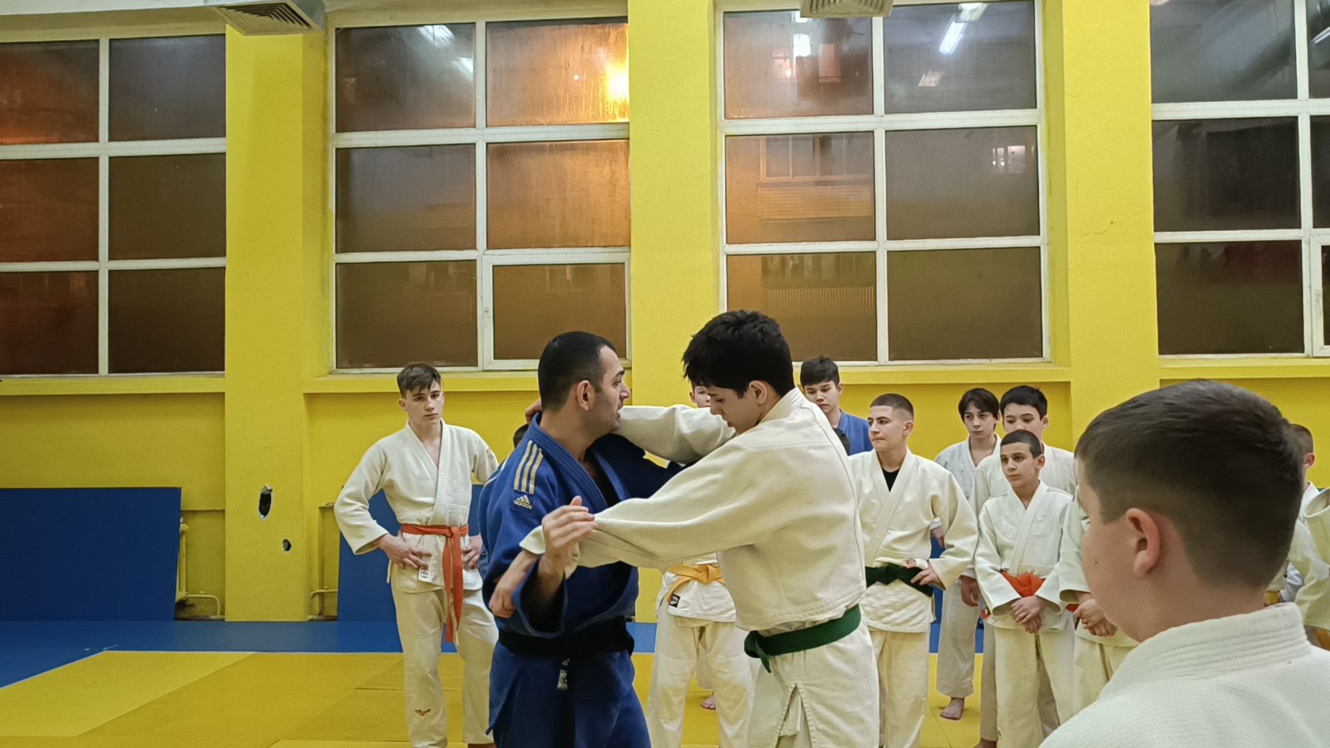 спорт, дзюдо, лобня, вертикалки,