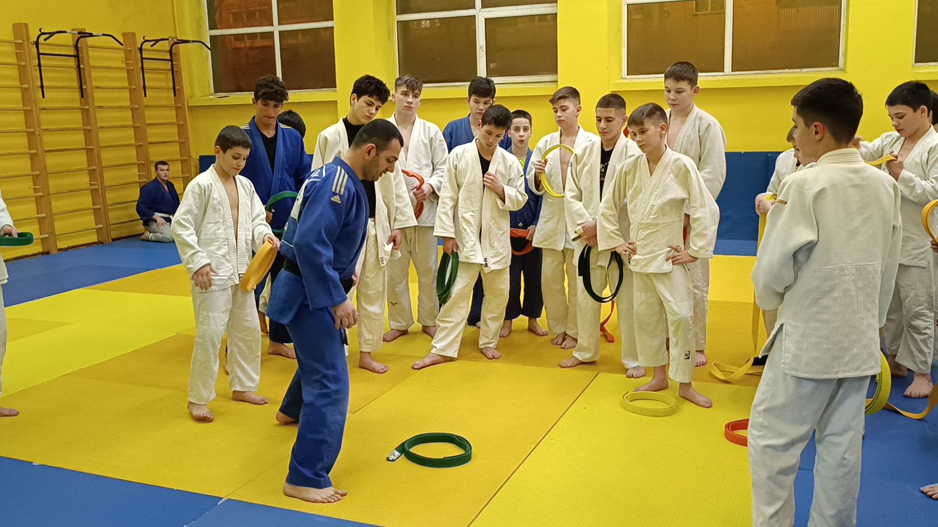 спорт, дзюдо, лобня, вертикалки,