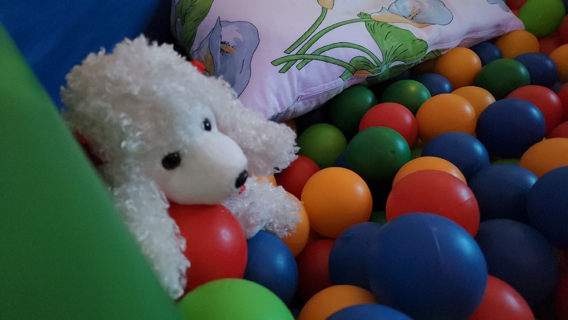 вертикалки, орехово зуево, дети с особенностями развития, игры,