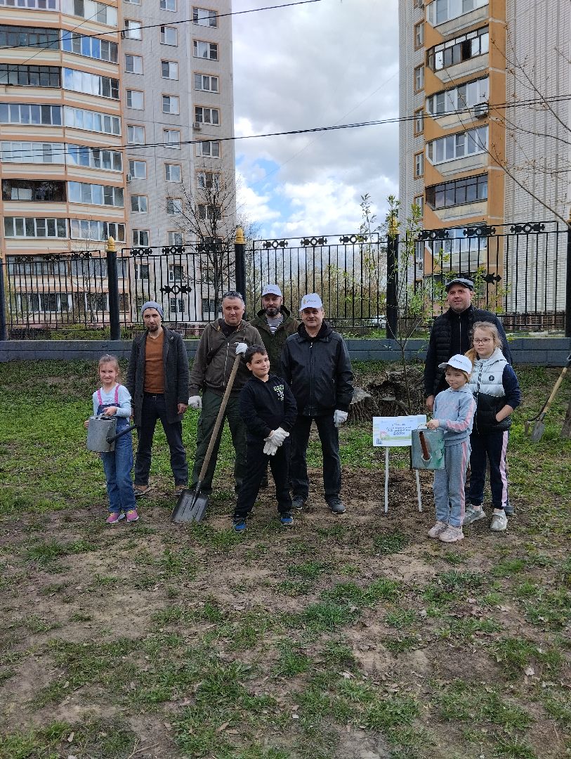Благоустройство, Центральный парк, Богородский городской округ, Ногинск, администрация