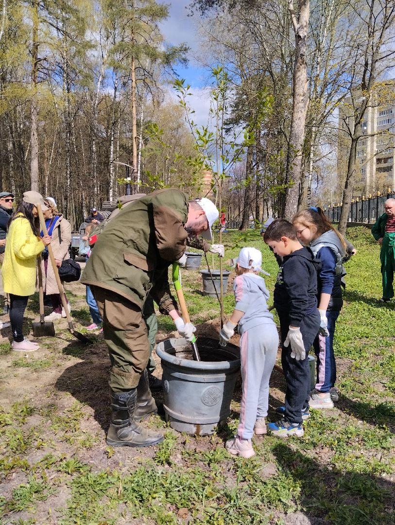 Благоустройство, Центральный парк, Богородский городской округ, Ногинск, администрация