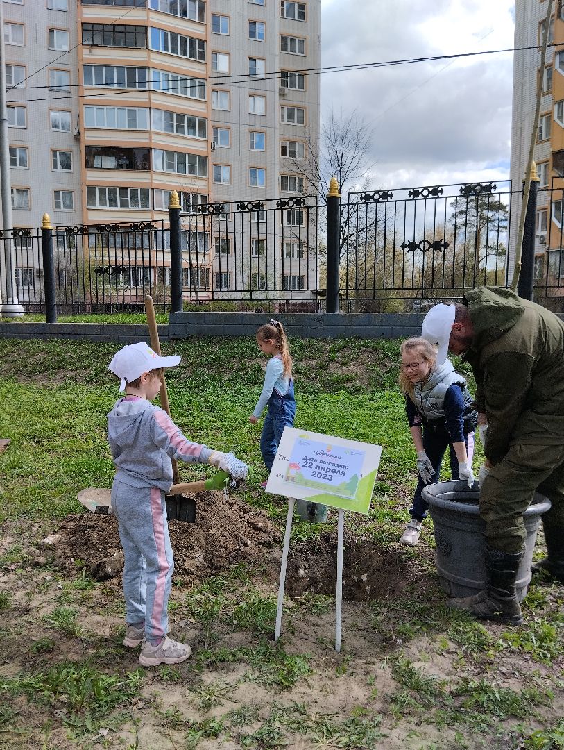 Благоустройство, Центральный парк, Богородский городской округ, Ногинск, администрация