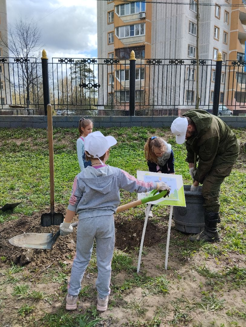 Благоустройство, Центральный парк, Богородский городской округ, Ногинск, администрация