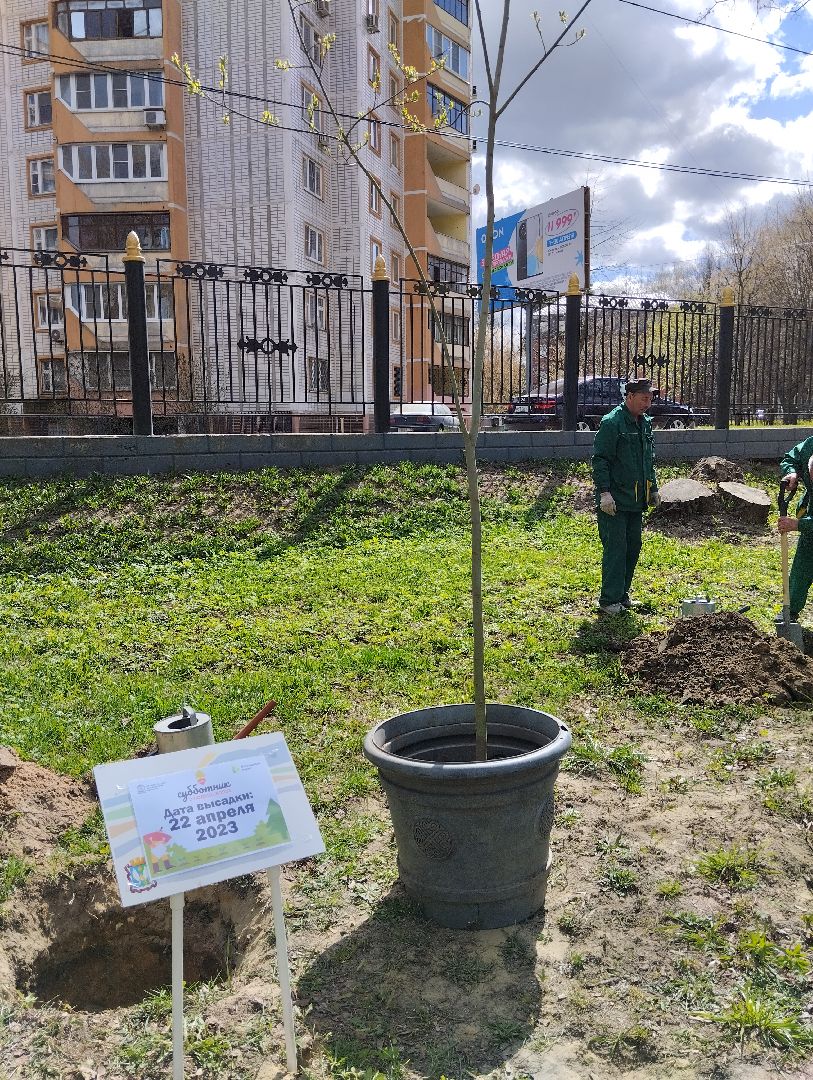 Благоустройство, Центральный парк, Богородский городской округ, Ногинск, администрация