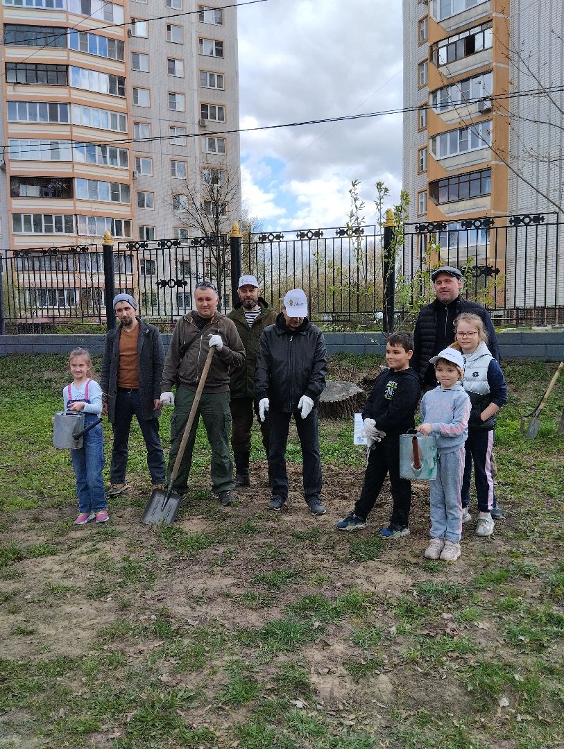 Благоустройство, Центральный парк, Богородский городской округ, Ногинск, администрация