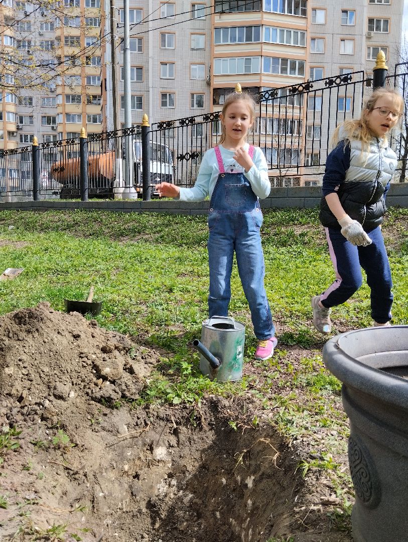 Благоустройство, Центральный парк, Богородский городской округ, Ногинск, администрация