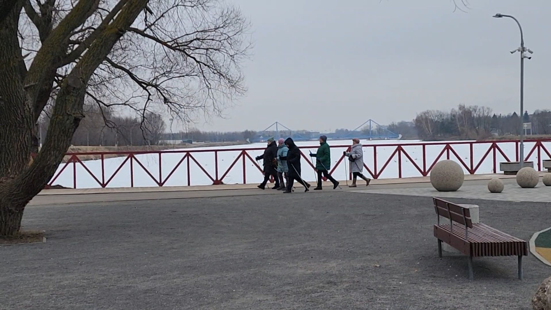 вертикалки, Бронницы, активное долголетие, Скандинавская ходьба,