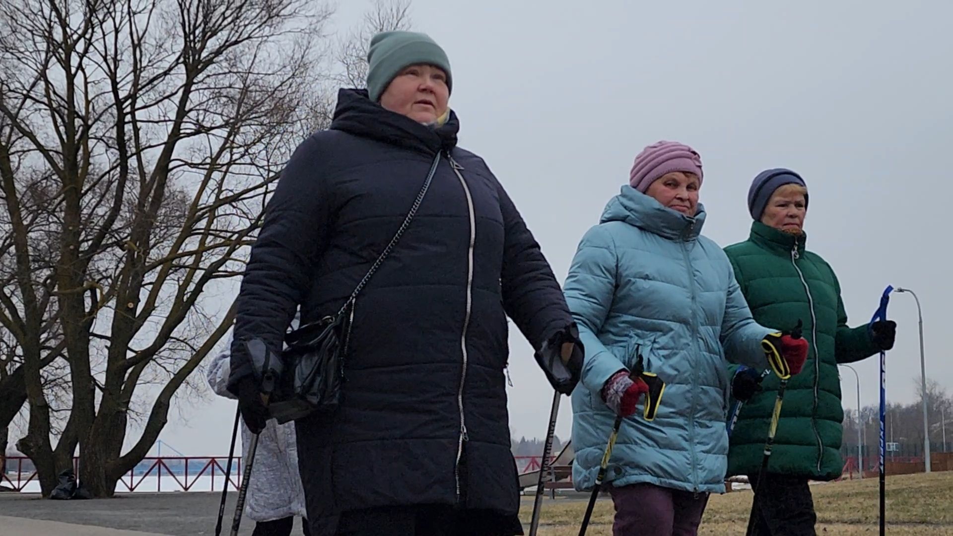 вертикалки, Бронницы, активное долголетие, Скандинавская ходьба,