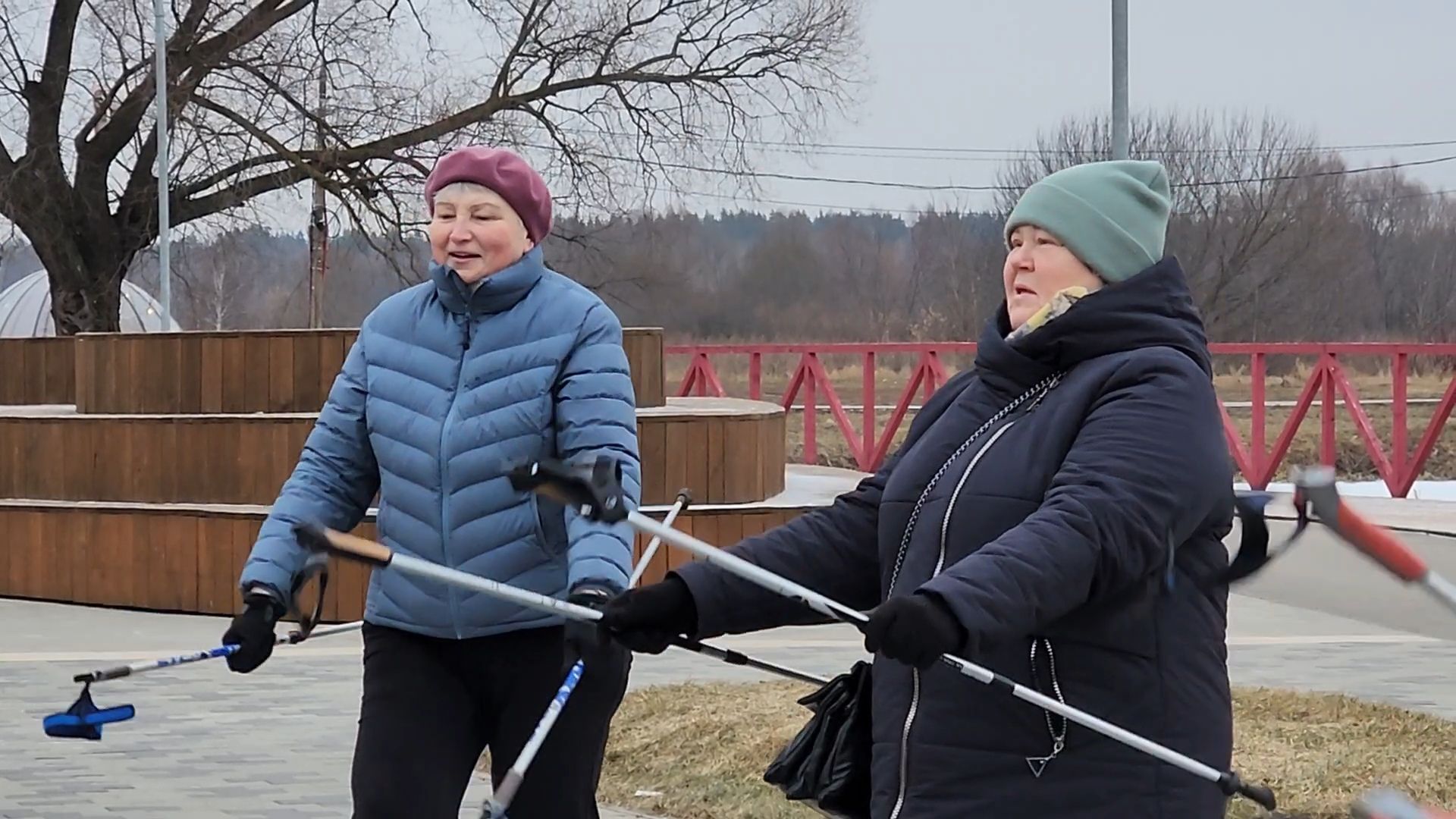 вертикалки, Бронницы, активное долголетие, Скандинавская ходьба,
