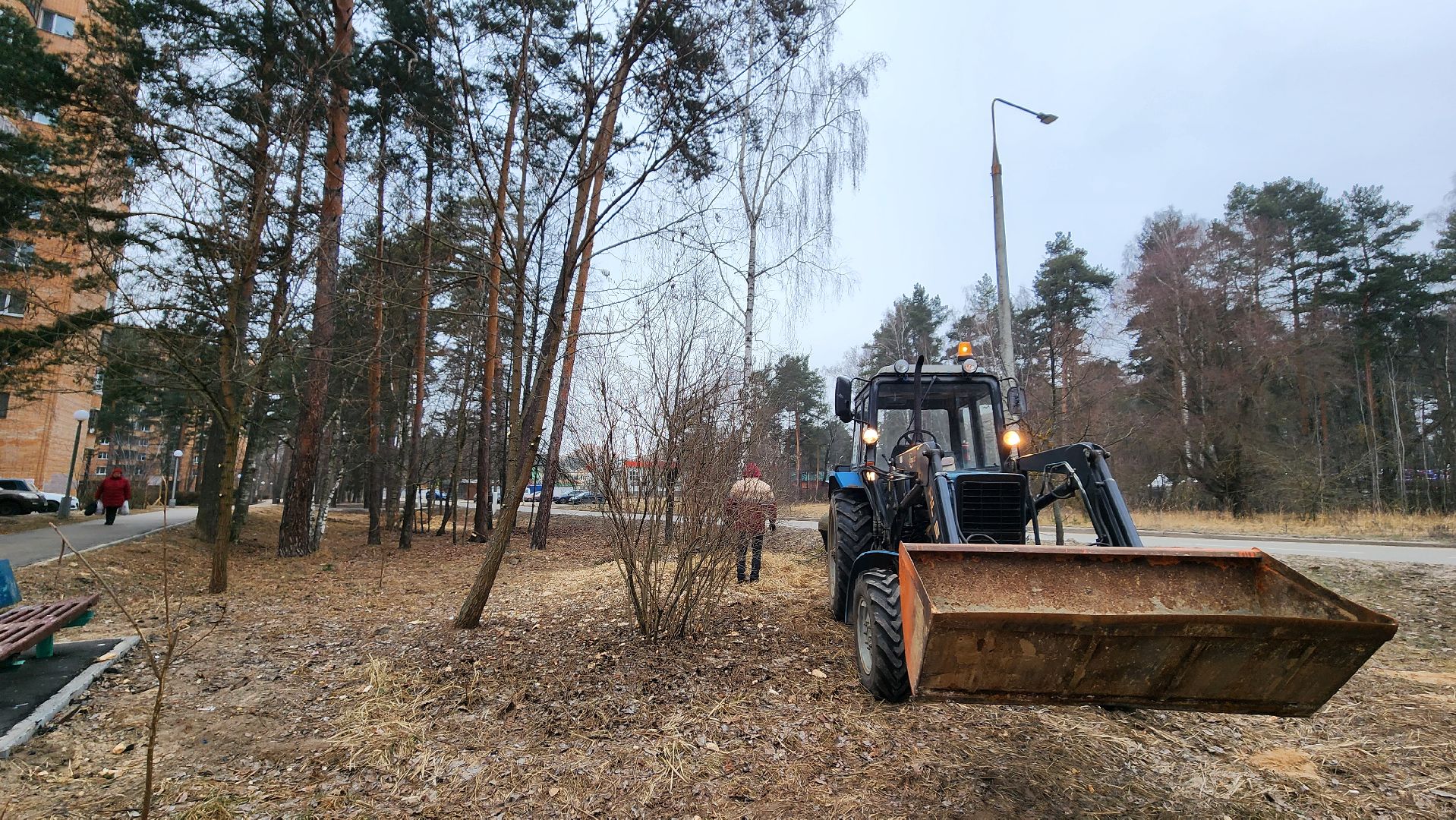 благоустройство, порубочные остатки, протвино, вертикалки,