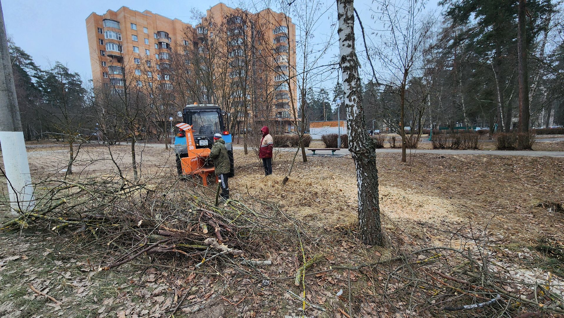 благоустройство, порубочные остатки, протвино, вертикалки,