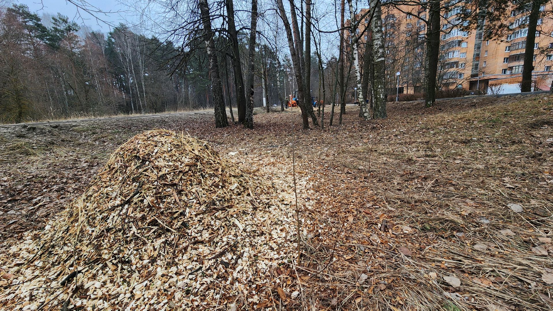 благоустройство, порубочные остатки, протвино, вертикалки,