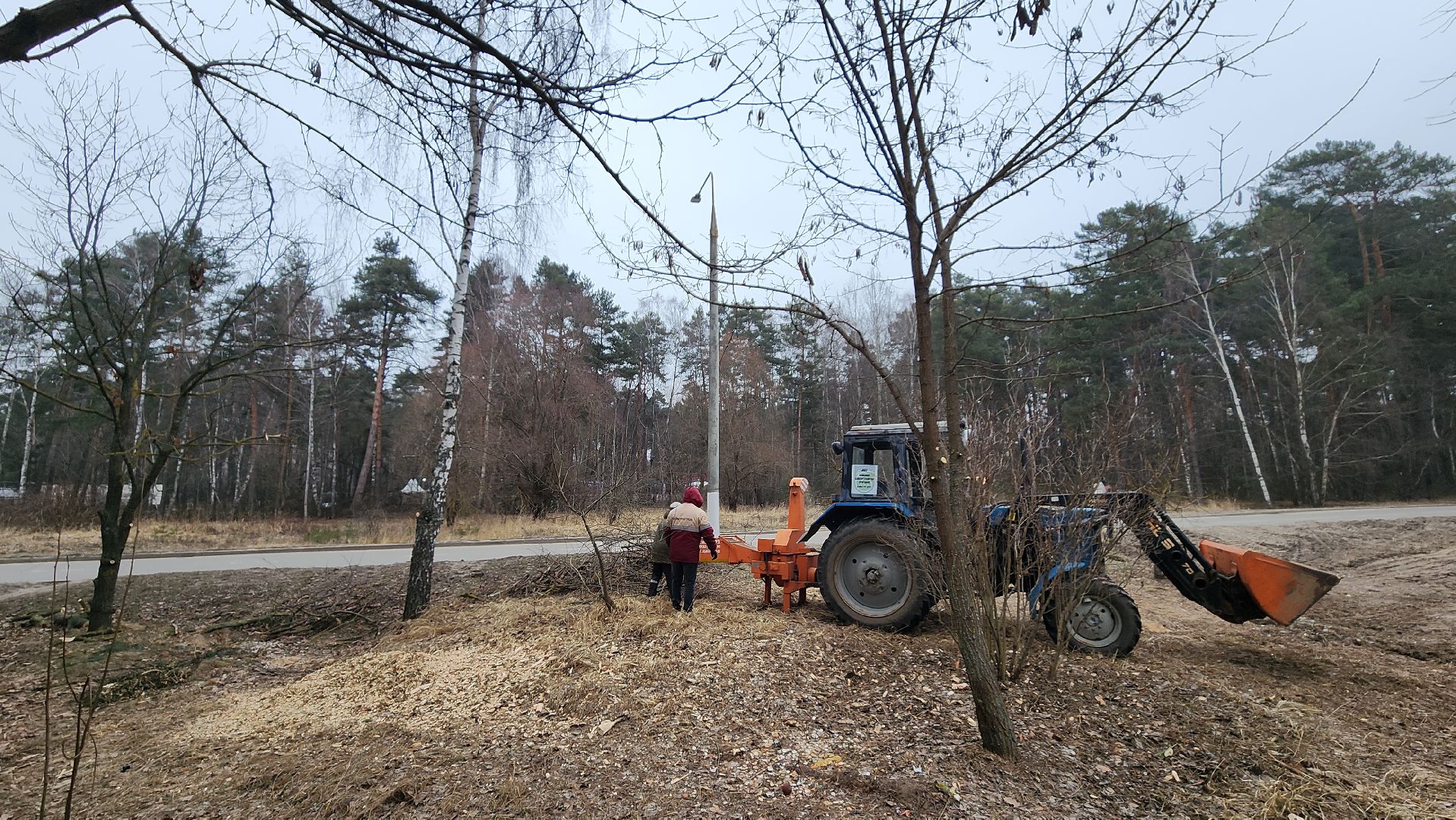 благоустройство, порубочные остатки, протвино, вертикалки,