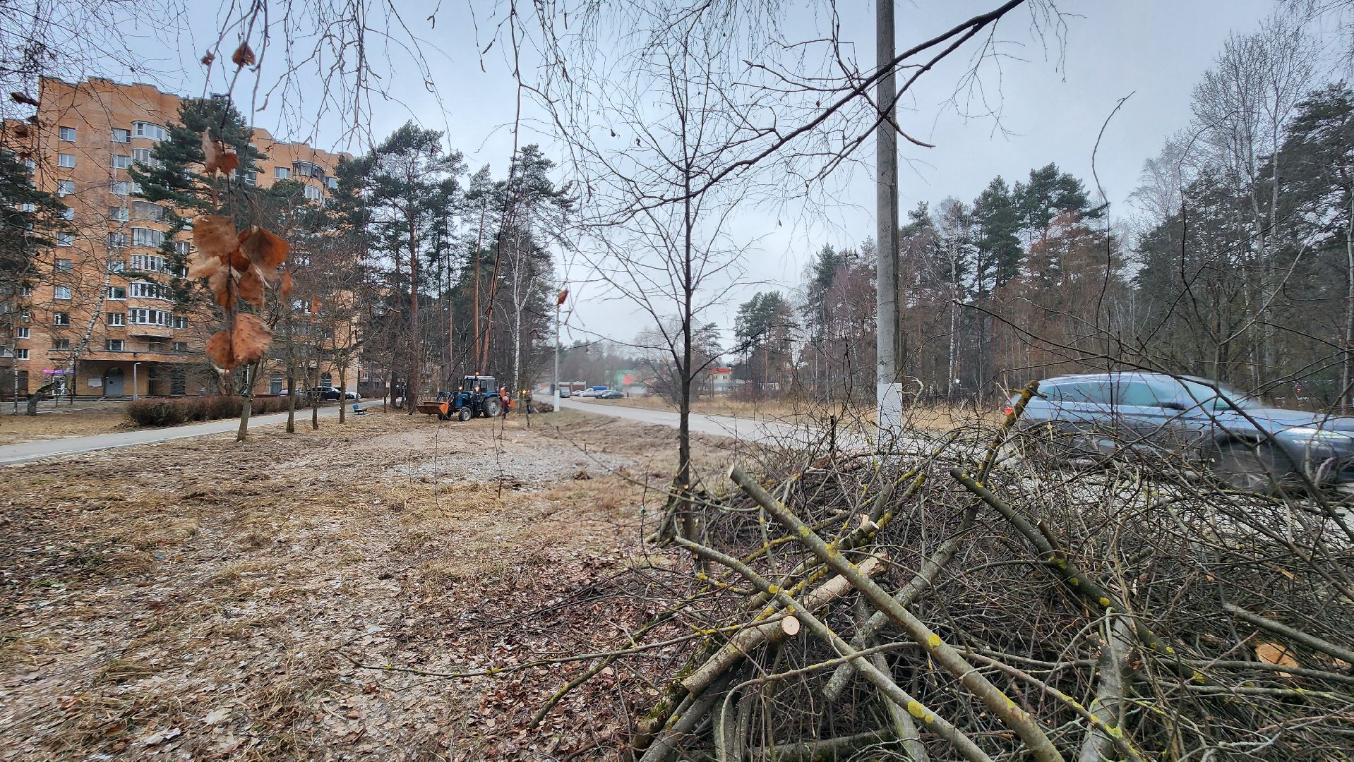 благоустройство, порубочные остатки, протвино, вертикалки,