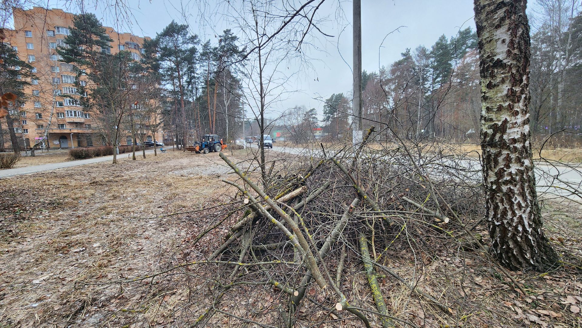 благоустройство, порубочные остатки, протвино, вертикалки,