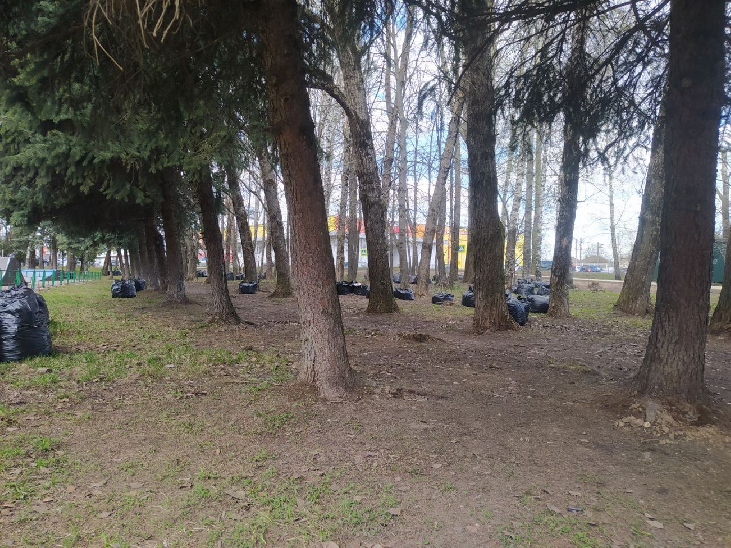 субботник, уборка, Дедовск, скейт парк, детская площадка