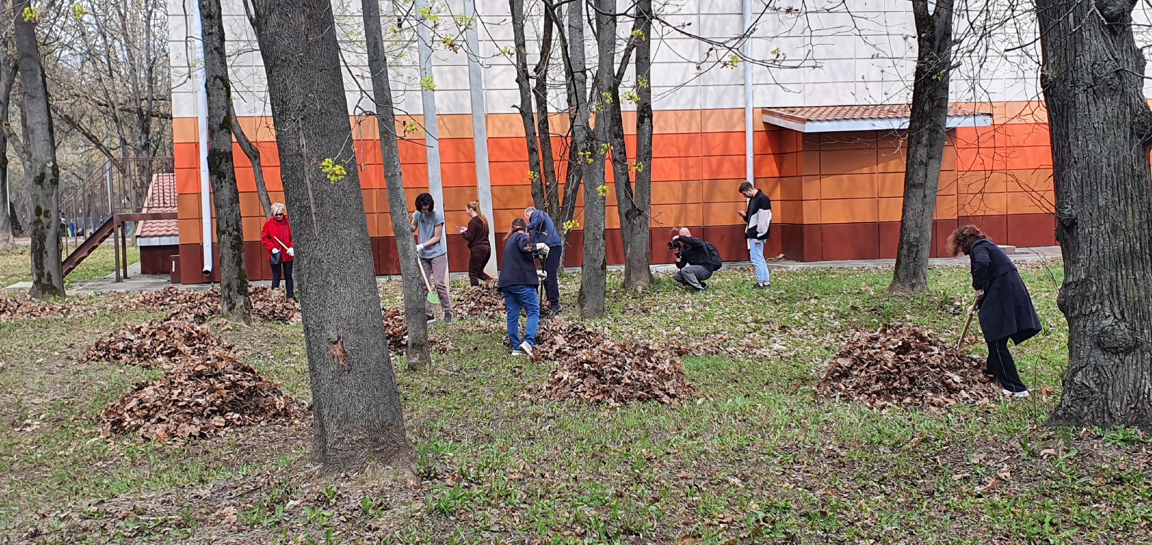 Парки Подмосковья, субботник, Домодедово