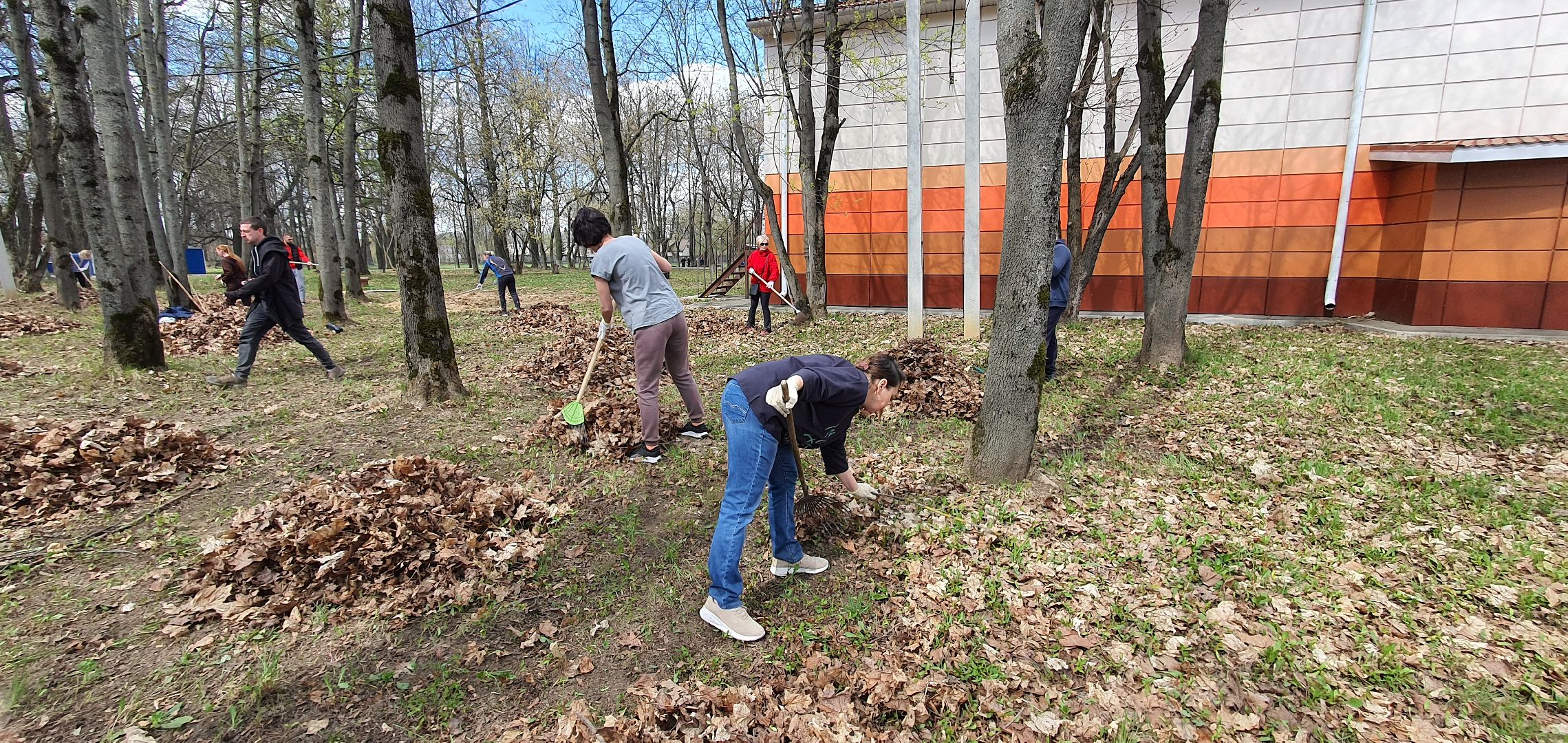 Парки Подмосковья, субботник, Домодедово