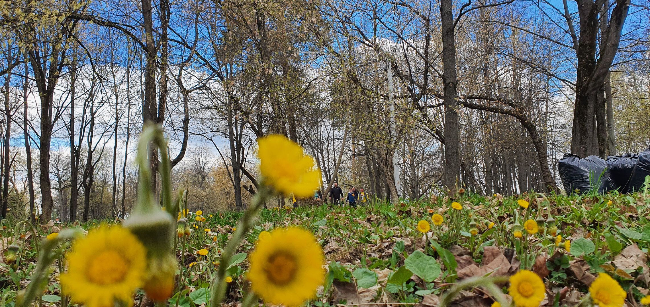 Парки Подмосковья, субботник, Домодедово