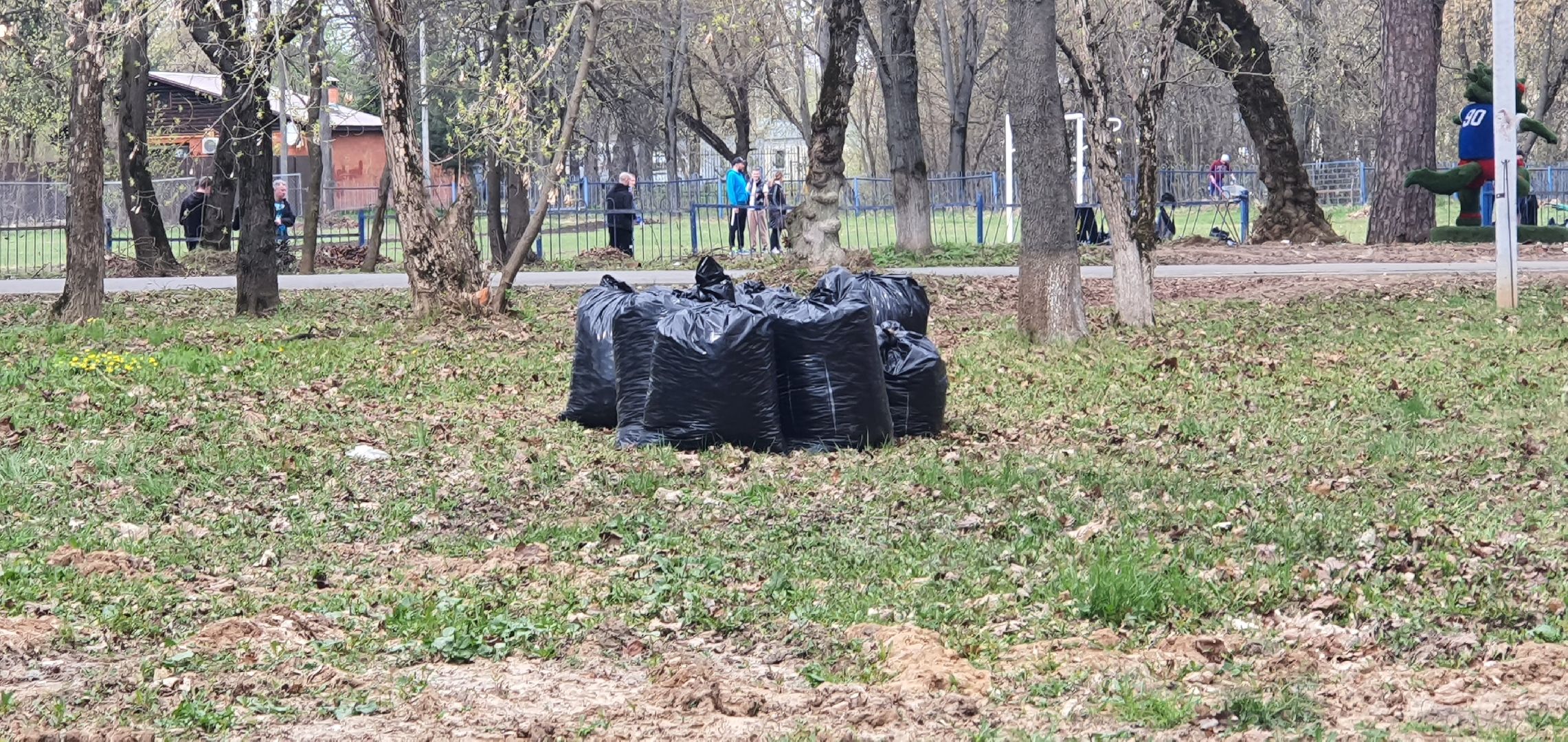 Парки Подмосковья, субботник, Домодедово