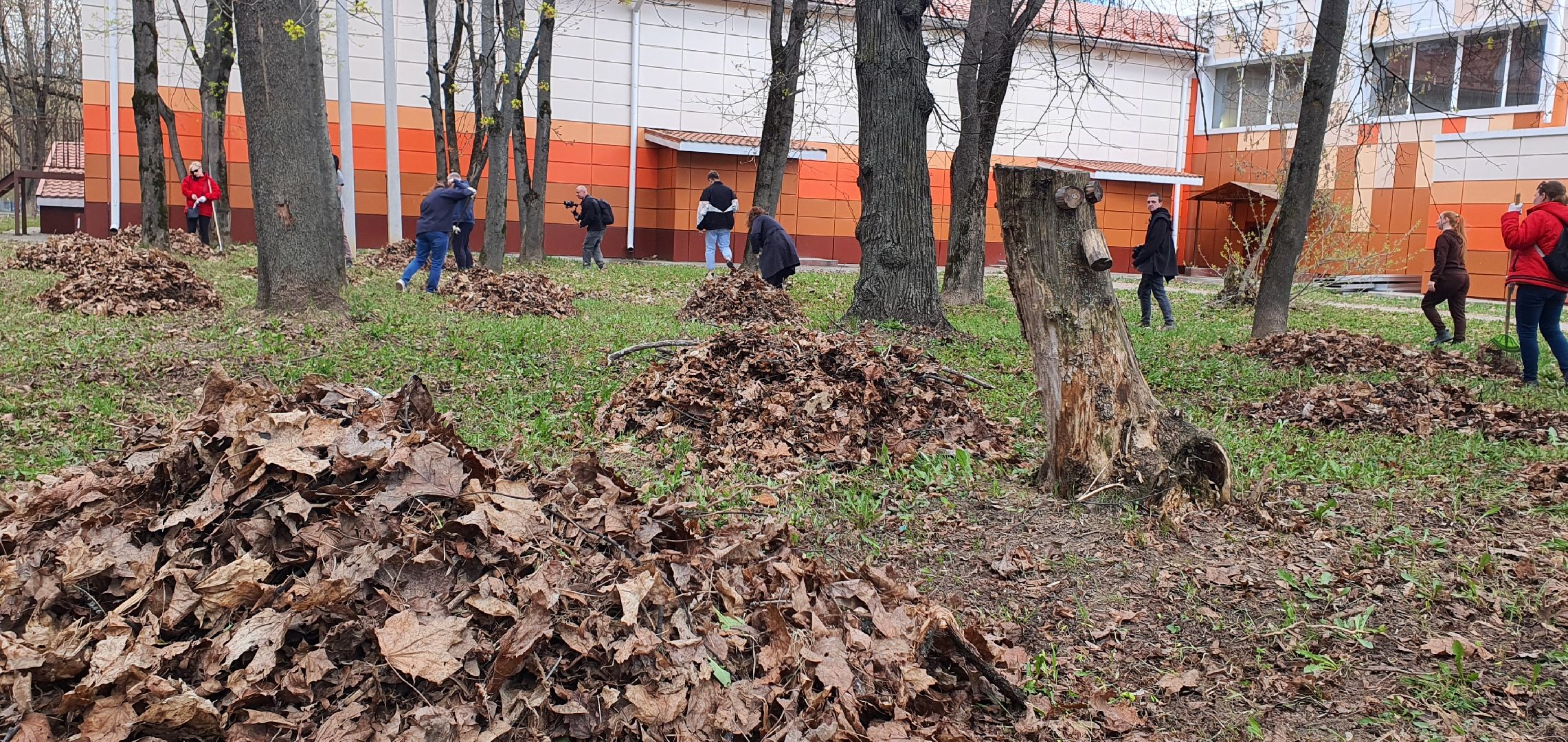 Парки Подмосковья, субботник, Домодедово