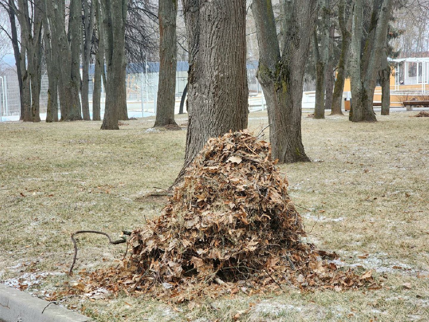 пущино, серпухов, благоустройство, вертикалки,