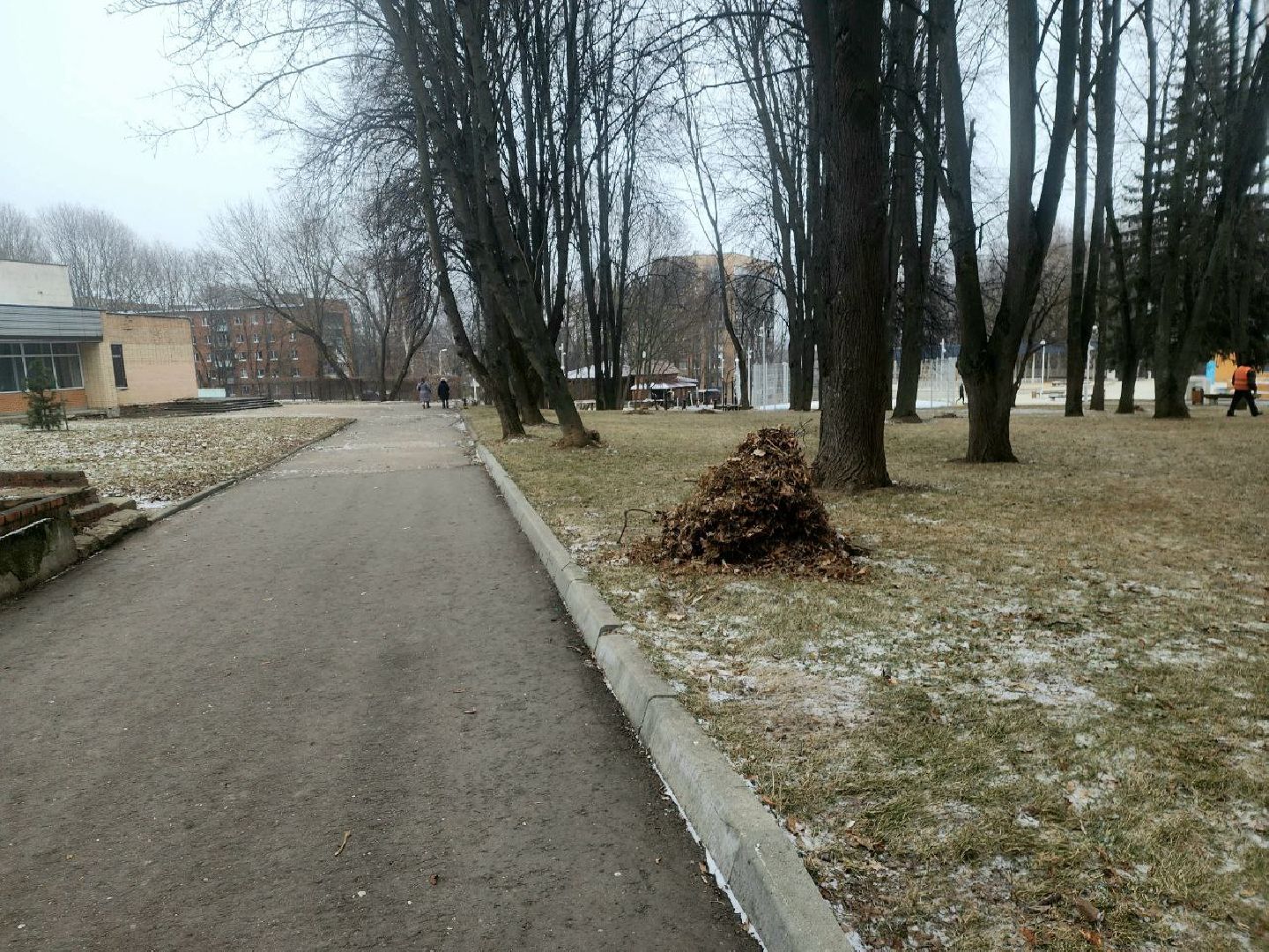 пущино, серпухов, благоустройство, вертикалки,