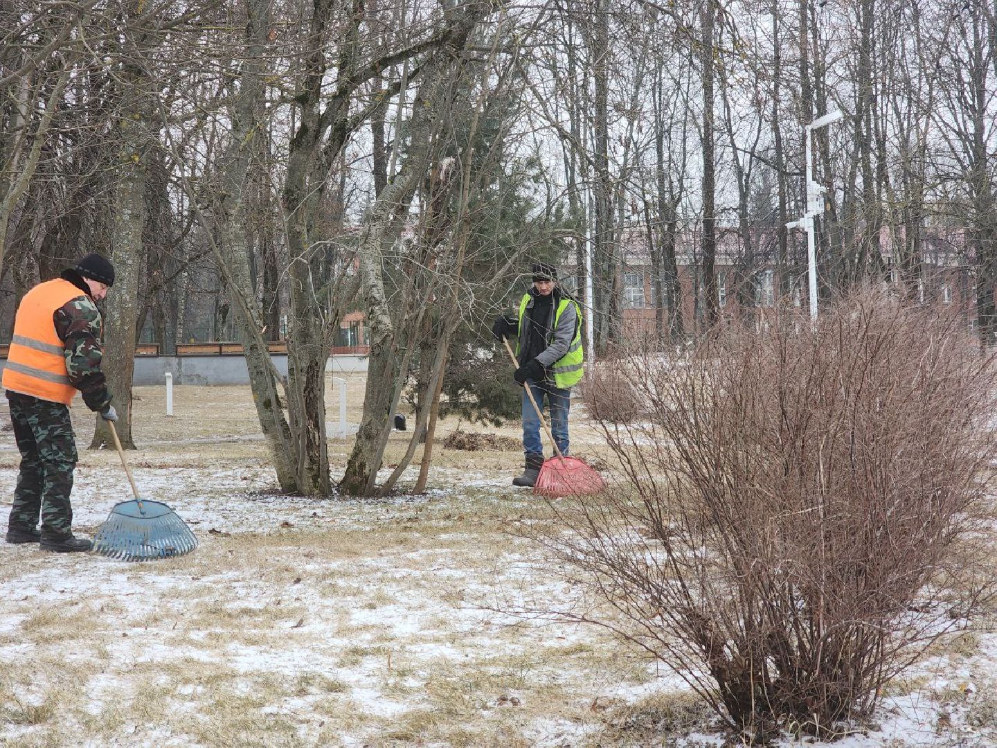 пущино, серпухов, благоустройство, вертикалки,