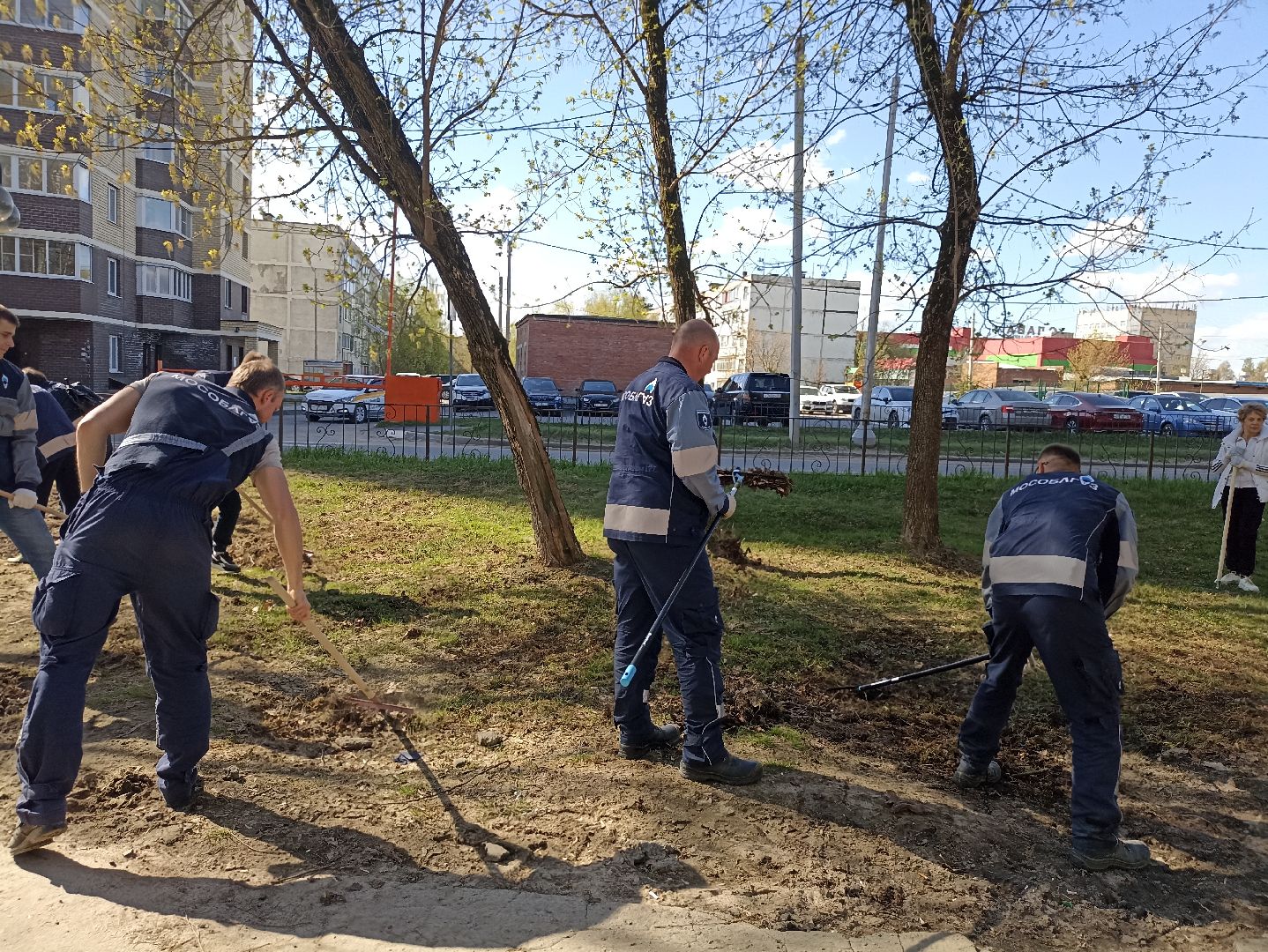 Серпухов, Подмосковье, субботник, парк, уборка