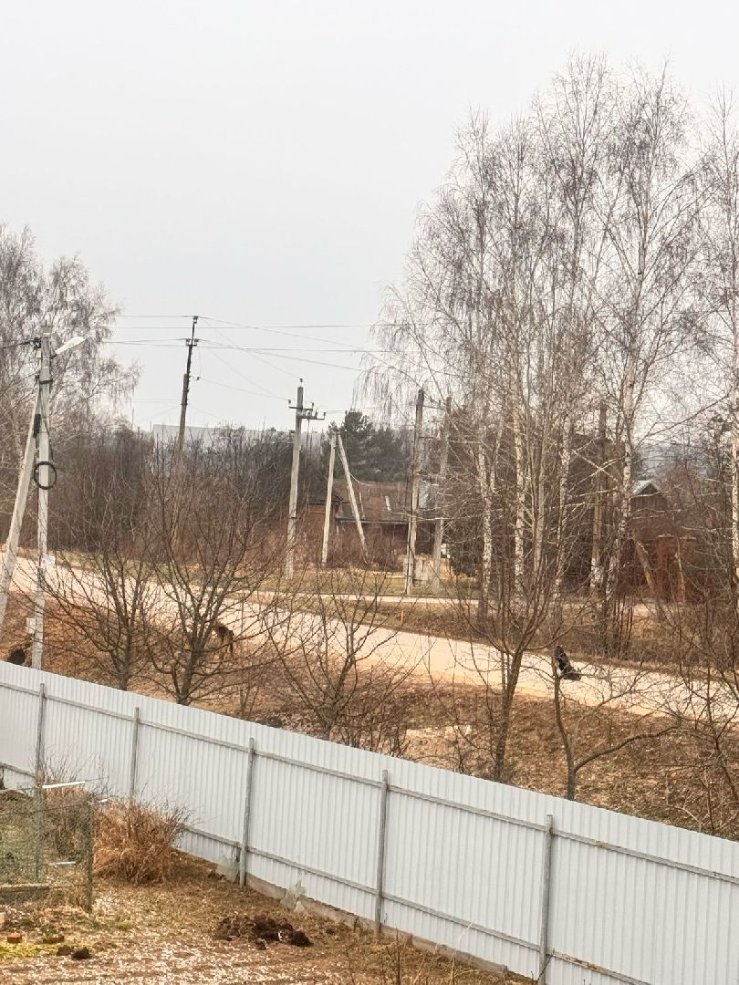 ступино, выездная администрация, бродячие собаки,